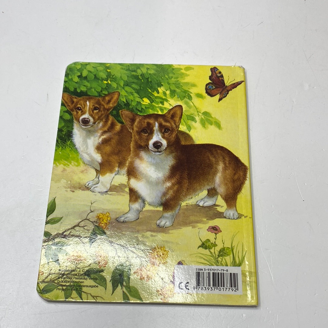 Bauernhoftiere Pappbilderbuch