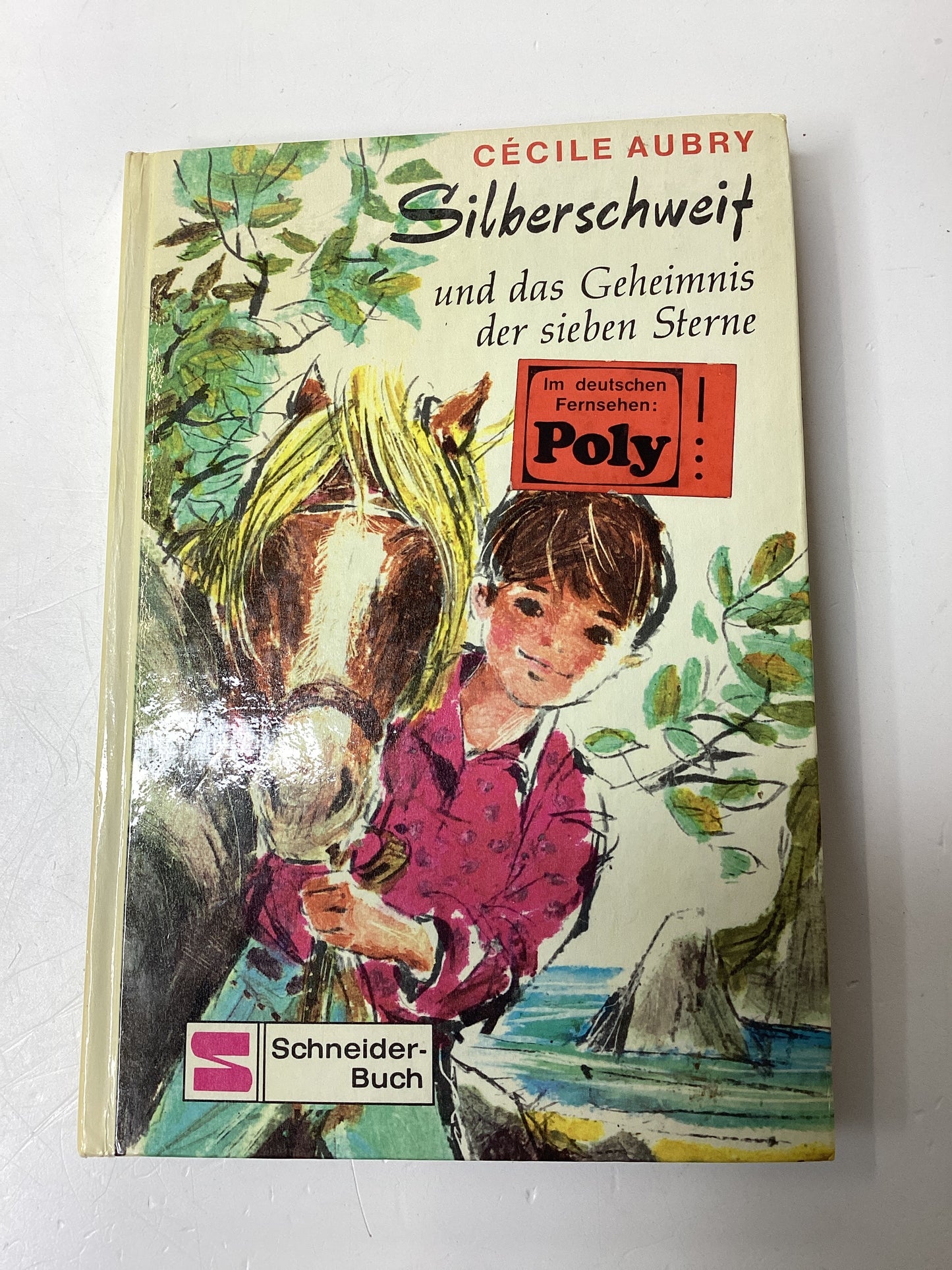 Cécile Aubry Silberschweif und das Geheimnis der sieben Sterne