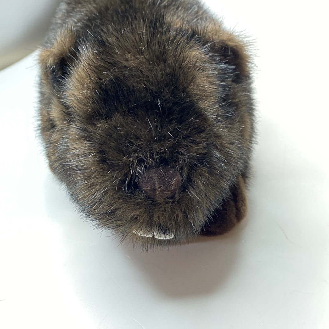 Plüsch Tier Biber Castor