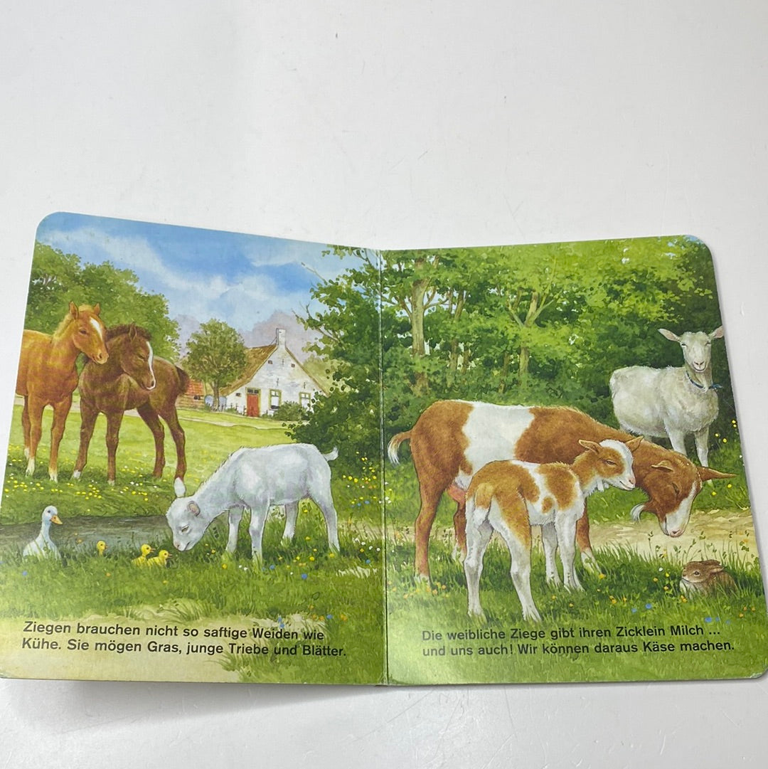 Bauernhoftiere Pestalozzi Pappbilderbuch