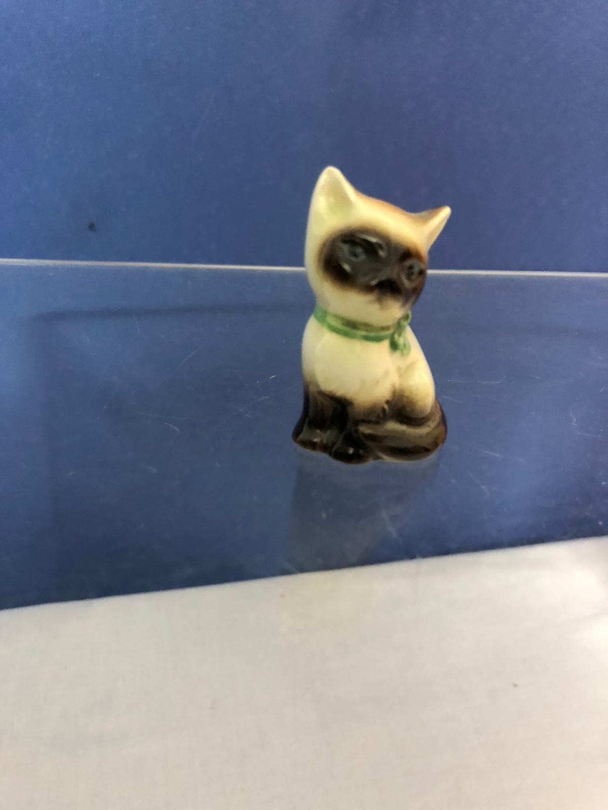 Porzelankatze
