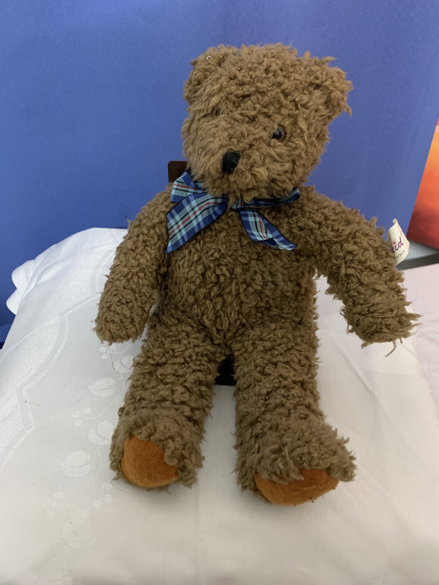 Kuscheltier Teddy Bär