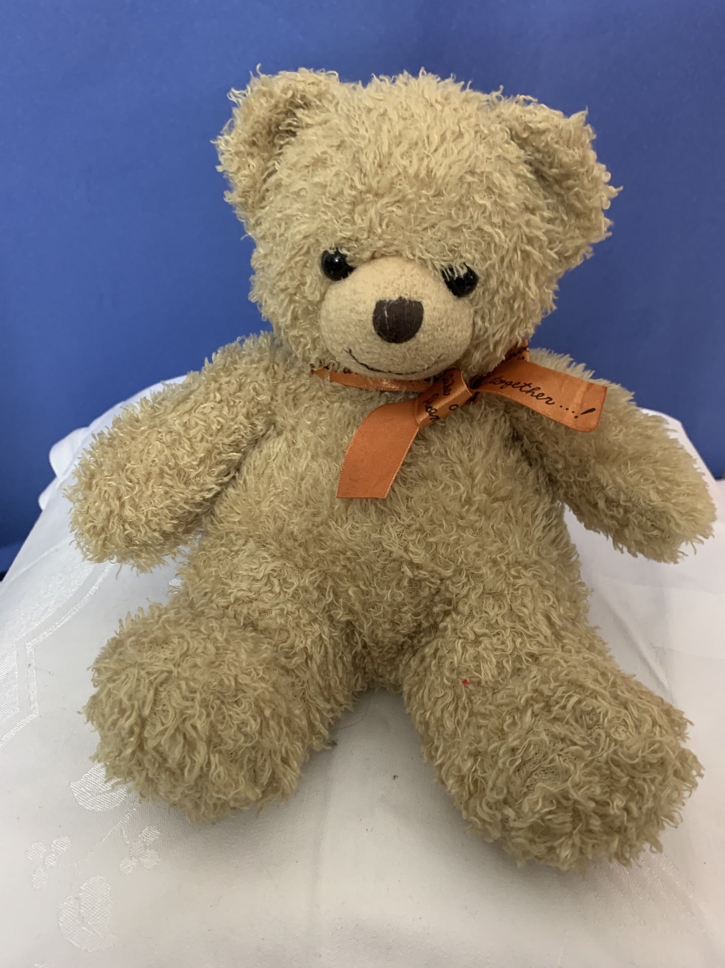 Stofftier Teddybär