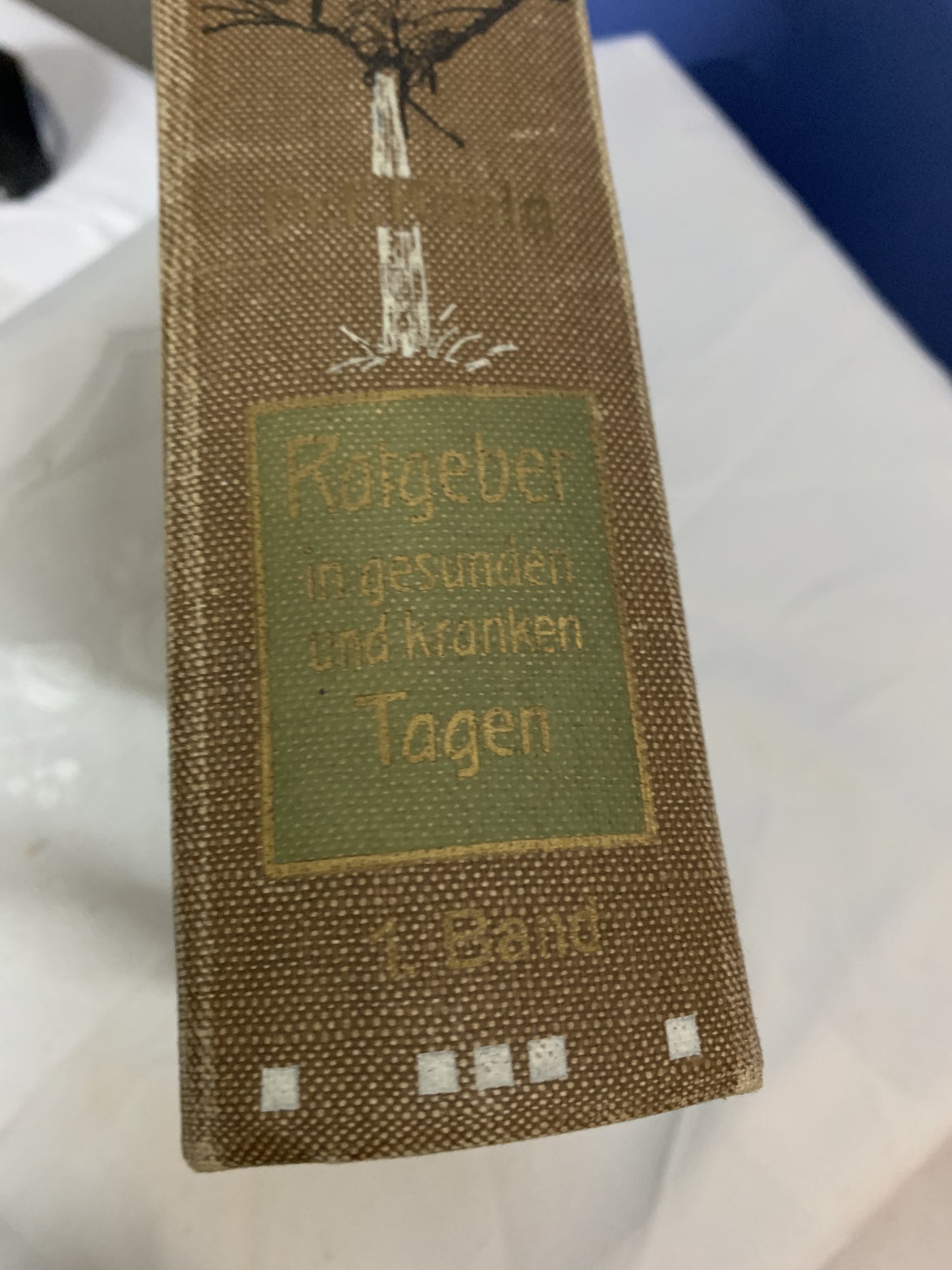 2St. Buch Ratgeber in gesunden und kranken Tagen Band 1+2