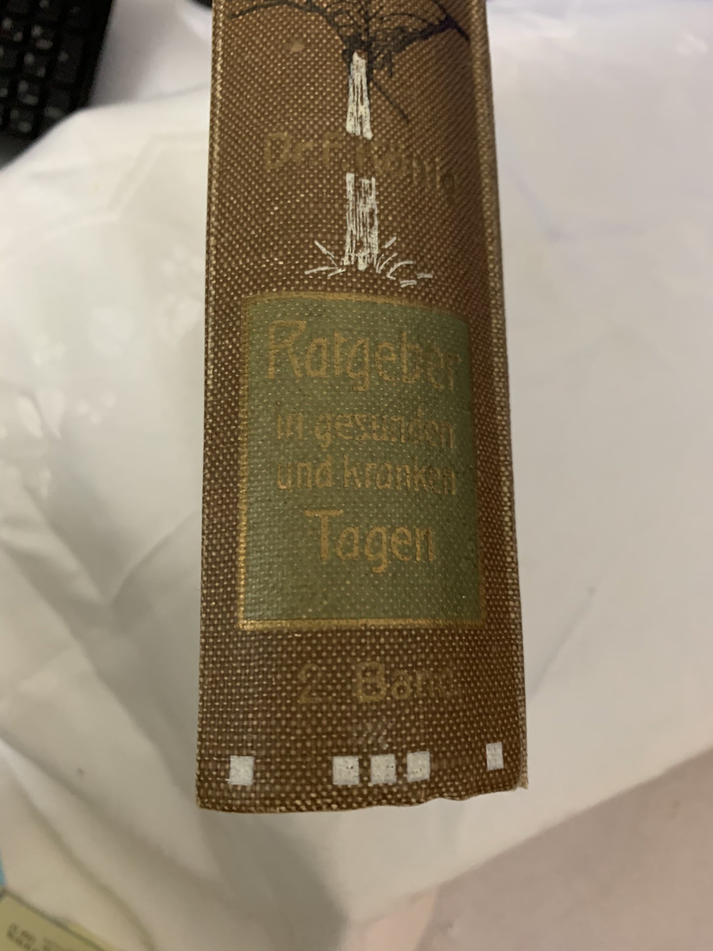 2St. Buch Ratgeber in gesunden und kranken Tagen Band 1+2