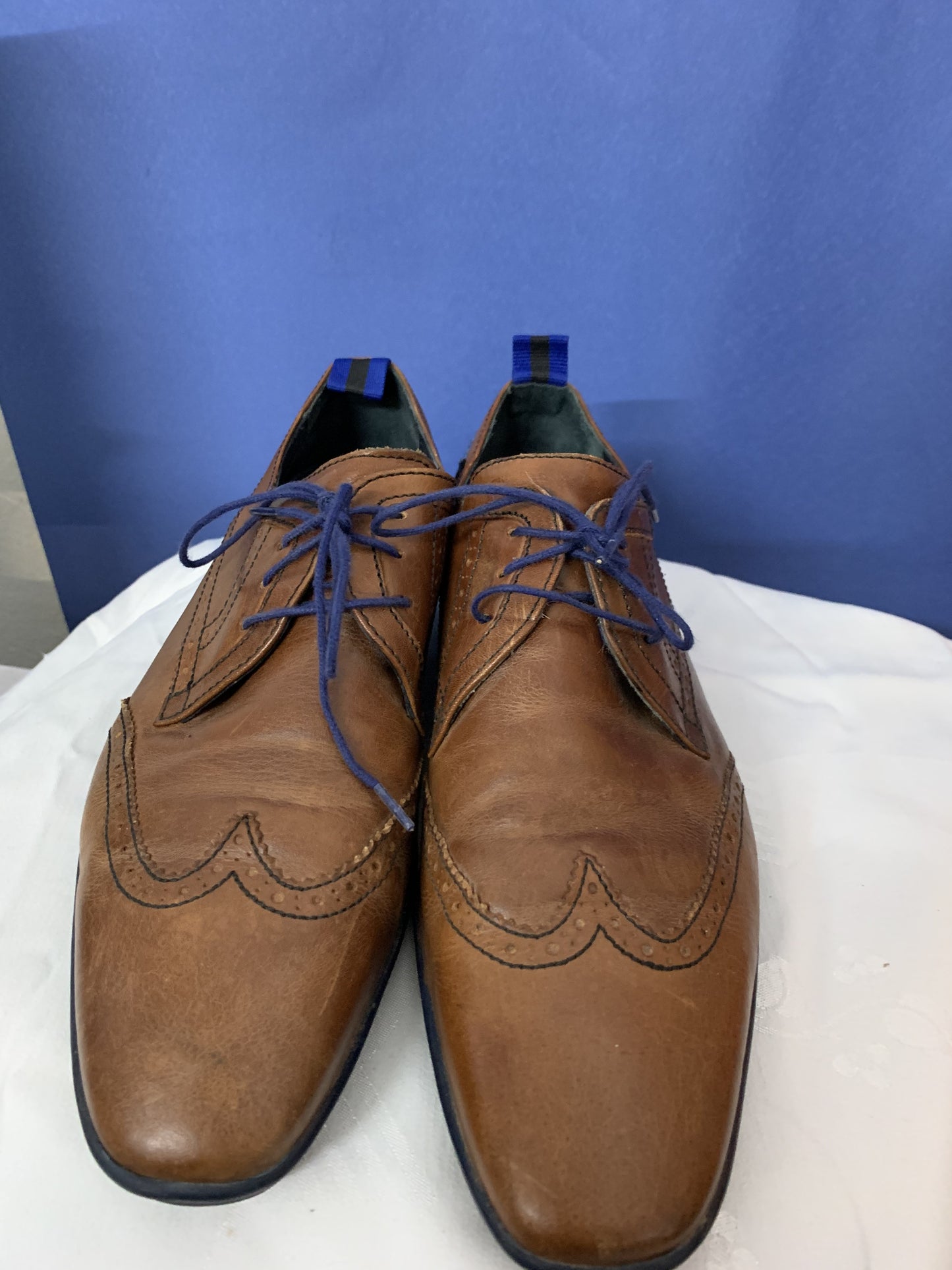 Floris Van Bombel Herren Schuhe, Gr. 40,5