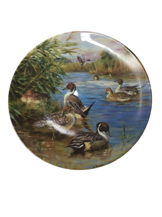Schirnding Bavaria Porzellan Wandteller Vogelteller 1991