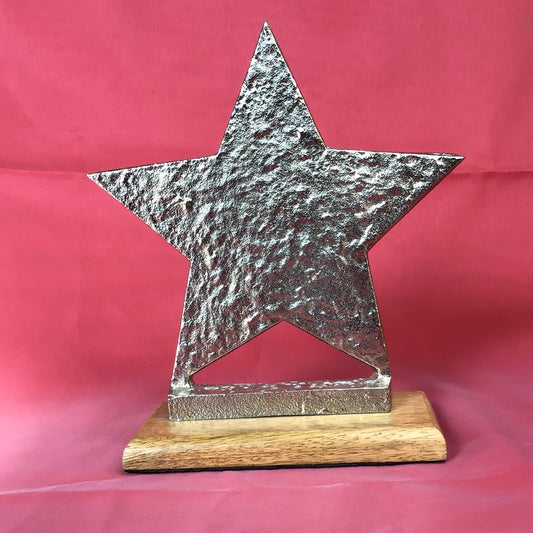 Stern Weihnachtsstern