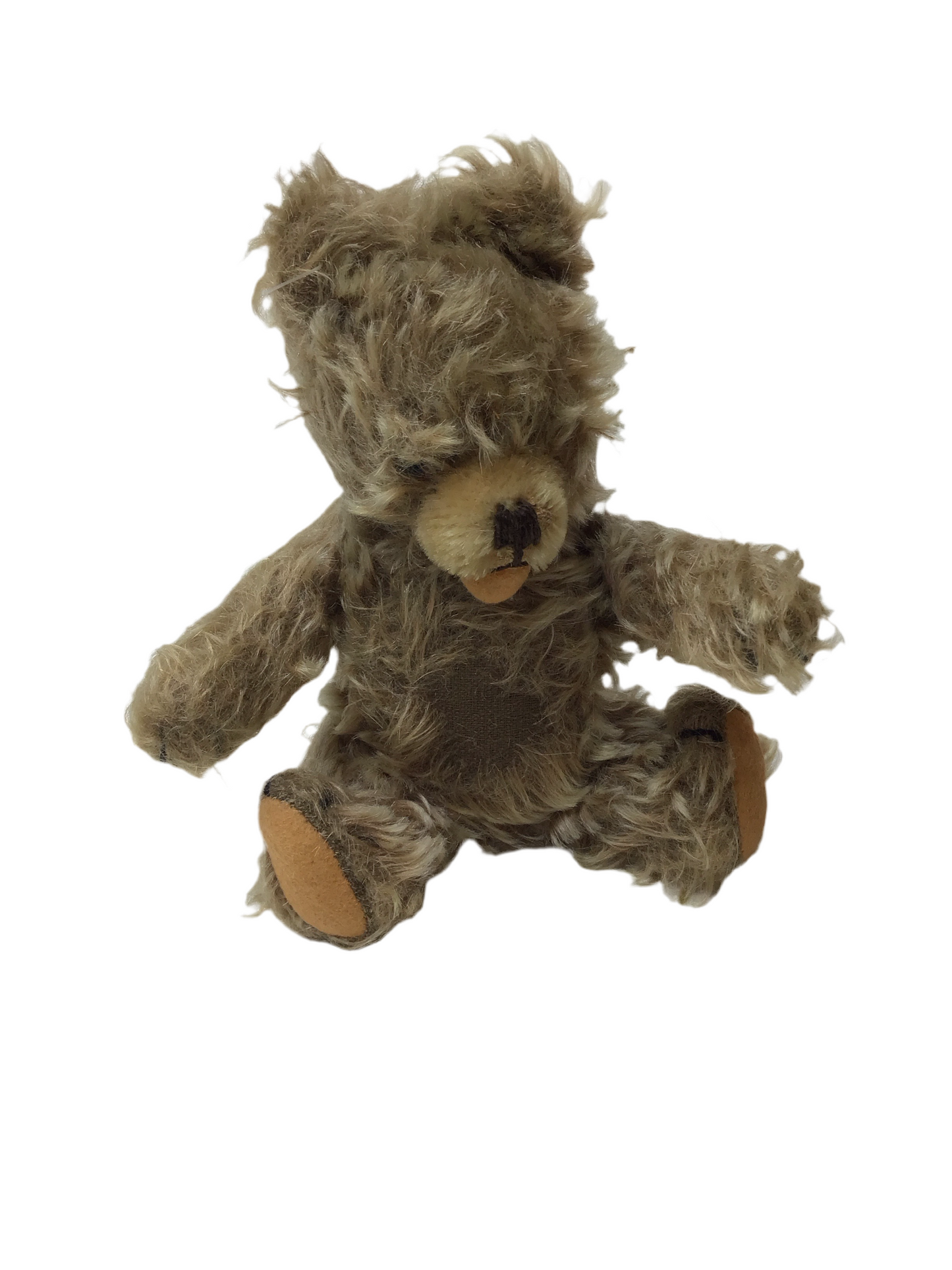 Herrmann Teddy Zooty mit Stimme