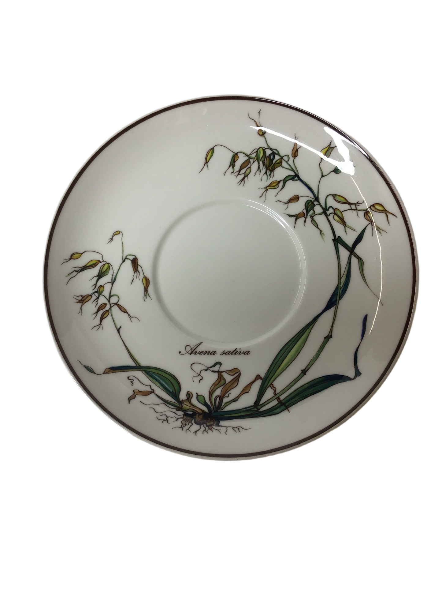 Villeroy und Boch Botanica Porzellan Teller