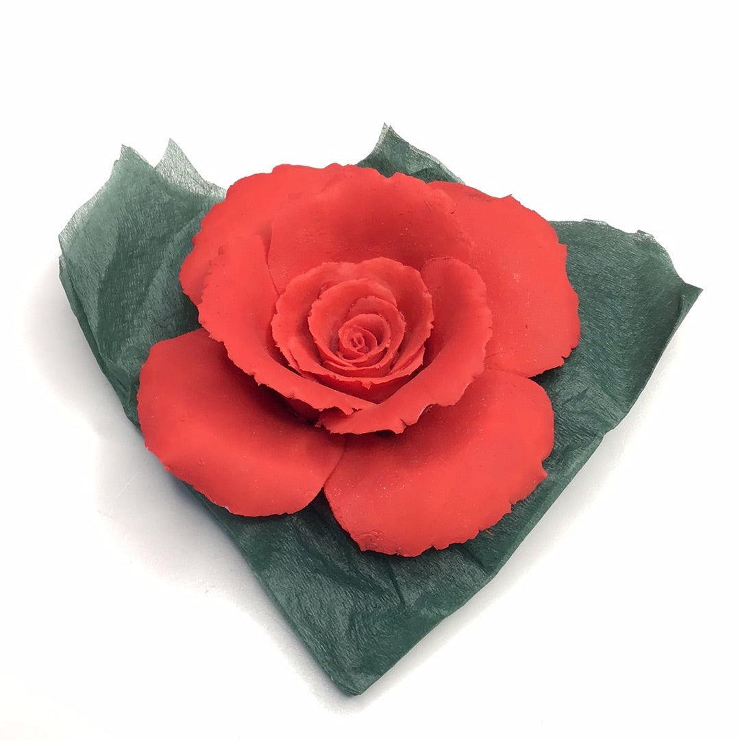 Dekorative Blume Rose