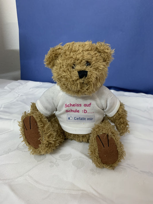 Teddybär mit T-Shirt "du wirst Prinzessin!"