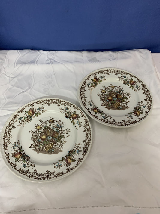 Royal Tudor England Fruits & Flowers 2 Stück Tellern