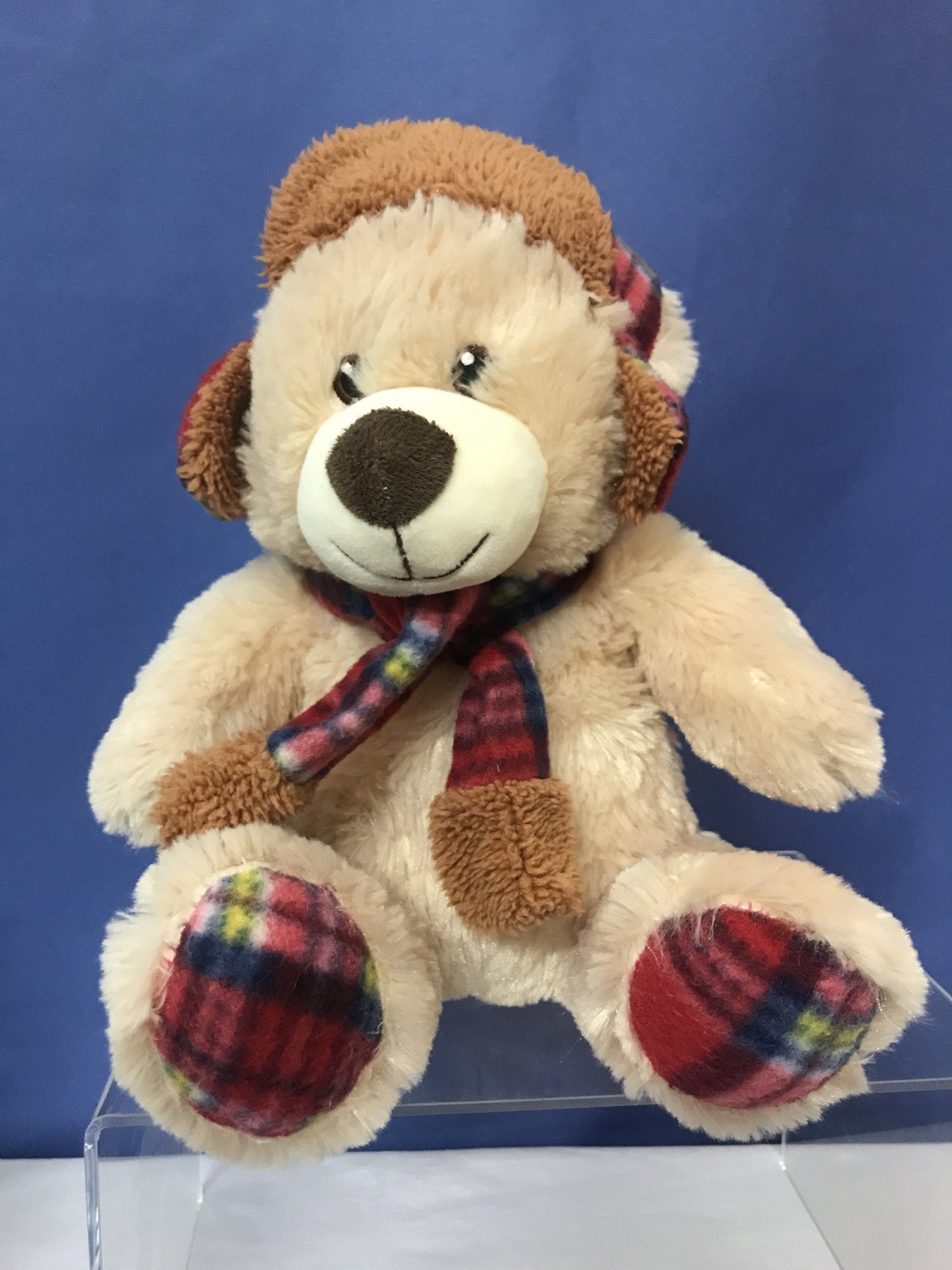 Teddybär mit Mütze und Schal