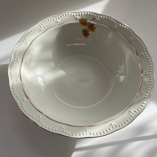 Jarolina Fine Royal Porzellan Studio Collection